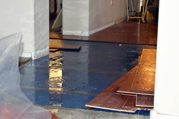 Professional Water Extraction technician working in Forestville, WI